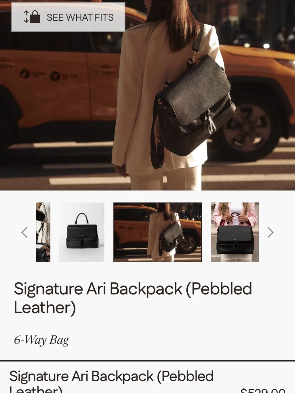 Never Used Alf The Label Ari Backpack